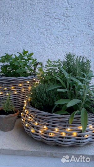 Кашпо для дома и сада