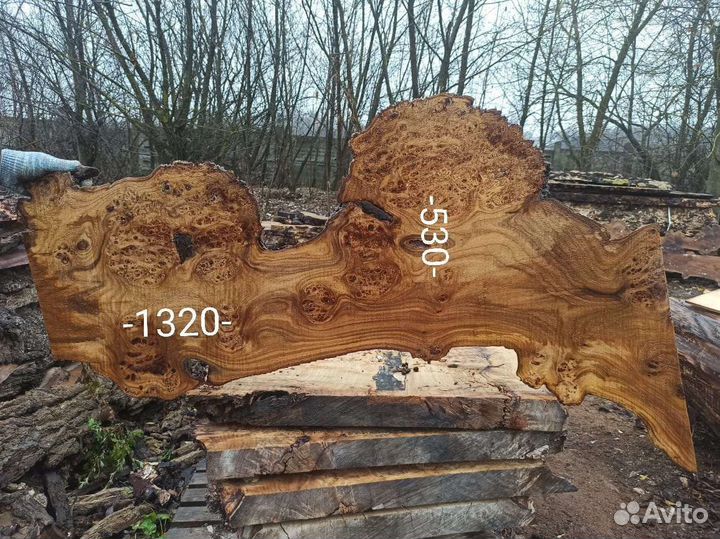 Слэб карагача