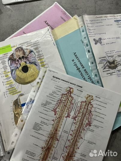 Методички гайворонского