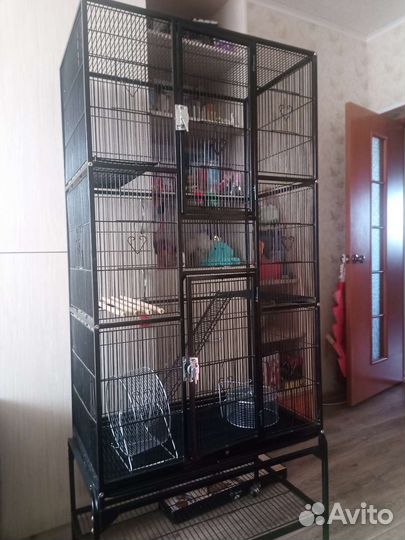 Клетка для птиц, белок дегу, бурундуков