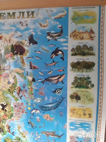 Карта мира животный и растительный мир