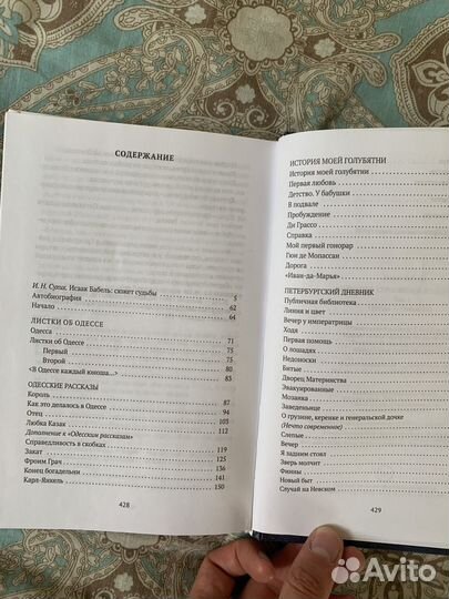 Исаак Бабель. Две книги