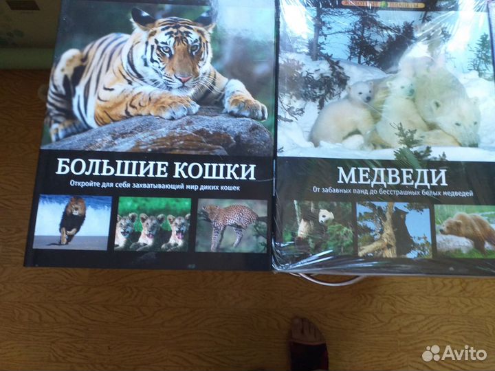 Детская энциклопедия