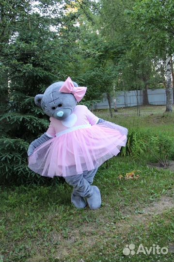 Мишаня Тедди
