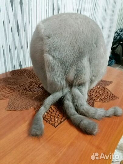 Норковая шапка