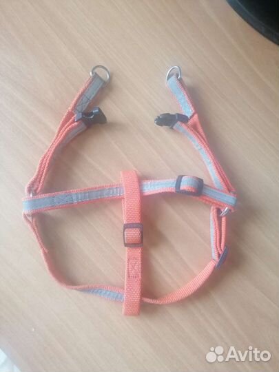 Шлейка для маленькой собаки
