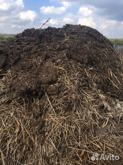 Навоз продам