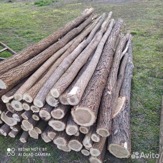 Столбики акации