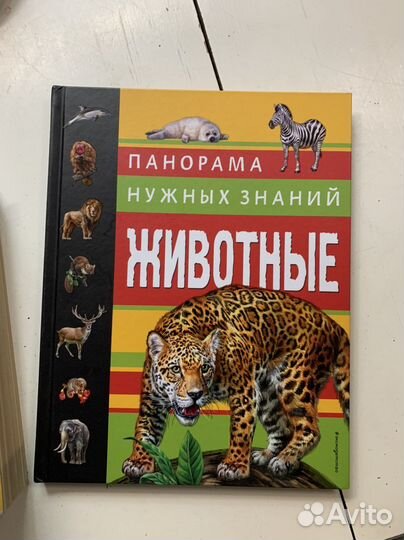 Книга развивающая. 4-5 лет