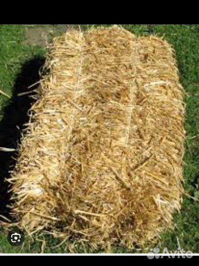 Солома в тюках