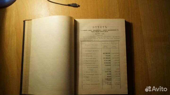 Отчет начальника горного управления южной России