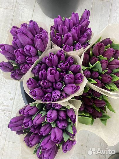 Тюльпаны к 8 марта