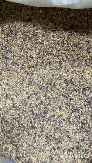 Корма для животных Отходы зерновые Чечевица