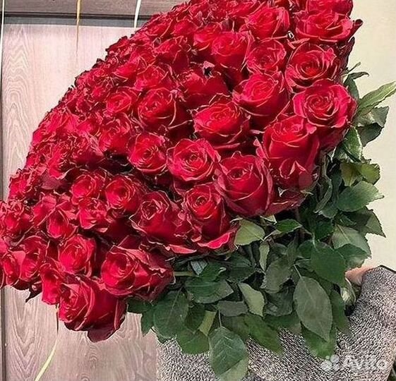 Высокие розы