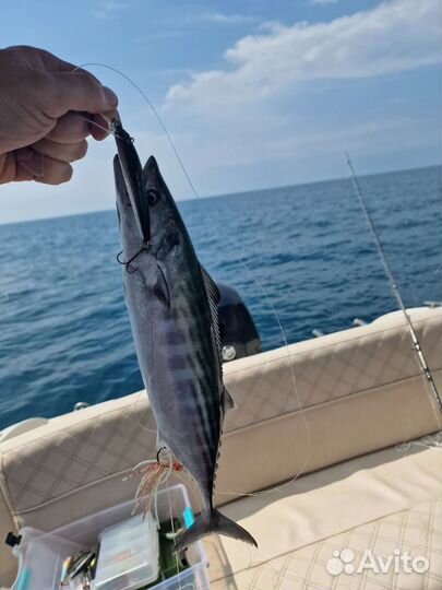 Катер slider 210