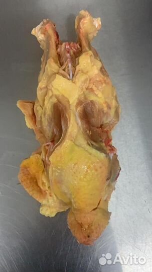 Корм для собак