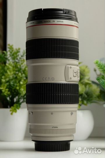 Canon EF 70-200mm f/2.8L IS USM