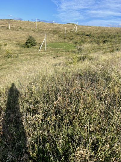 Участок 8 сот. (ИЖС)