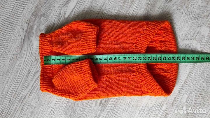 Одежда для собак