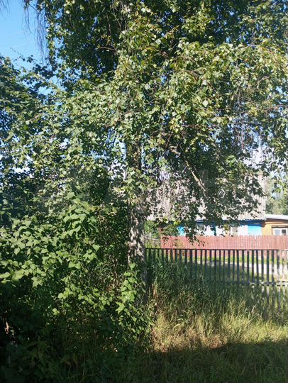 Дом 54,5 м² на участке 12 сот.