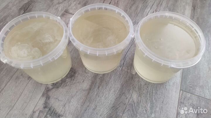 Мед Акация,гречишный,разнотравье, подсолнечный