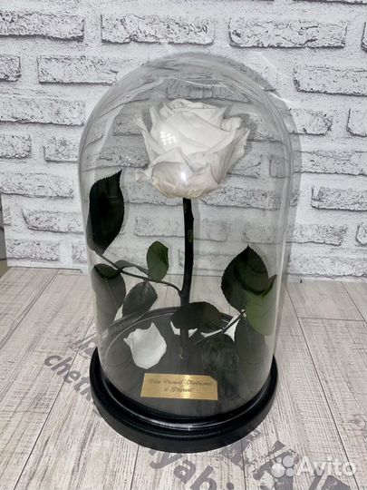 Розы в колбе