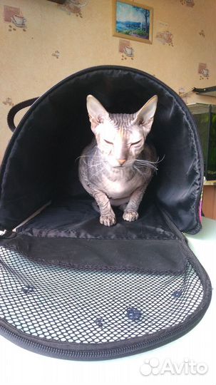 Переноска для кошек