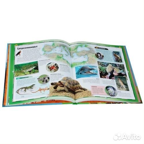 Книги о животных