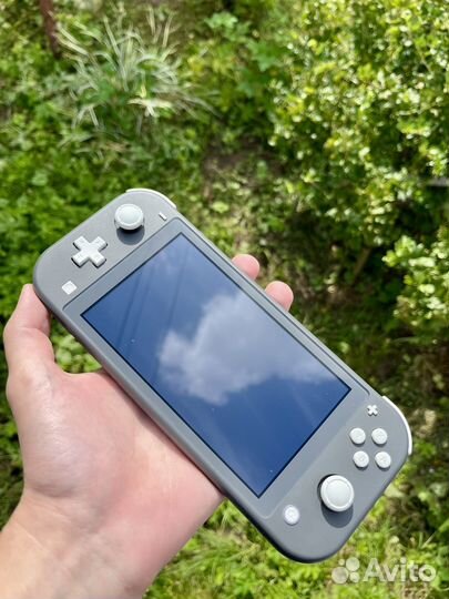 Nintendo switch lite