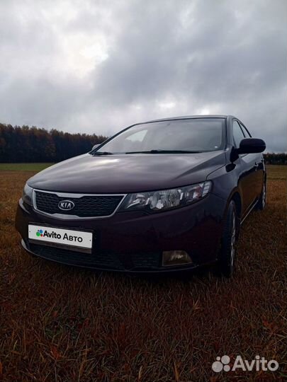 Kia Cerato 1.6 МТ, 2010, 249 000 км