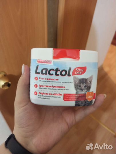 Молочная смесь для котят