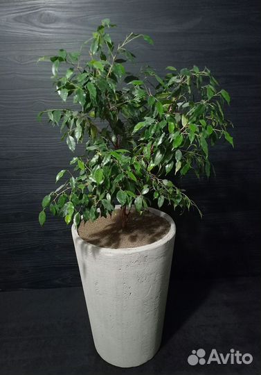 Кашпо, Вазоны, Горшки под заказ из бетона арт 193