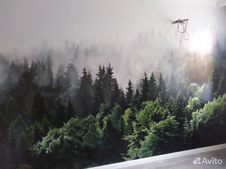 Граффити, роспись стен и аэрография на авто