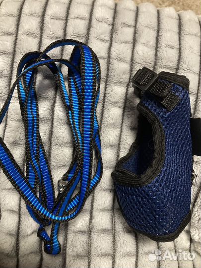 Шлейка для грызунов