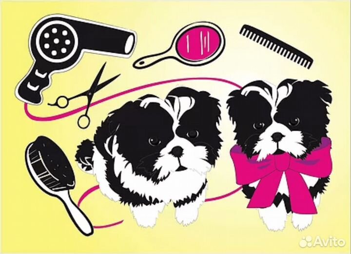 Стрижка собак.Ленинский, Советский районы