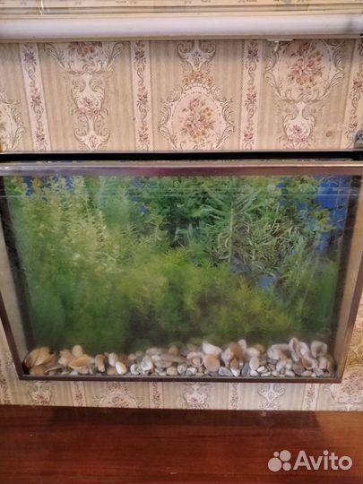 Аквариум