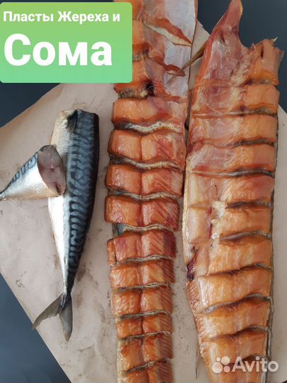 Рыба свежемороженая доставка на дом