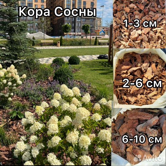 Кора(мульча) сосны