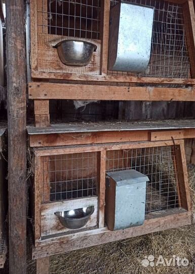 Клетки для кроликов