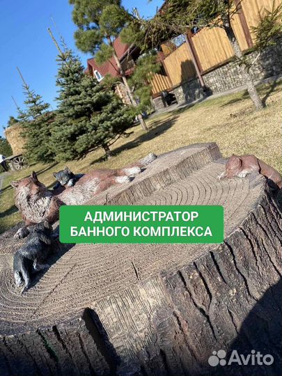 Администратор банного комплекса