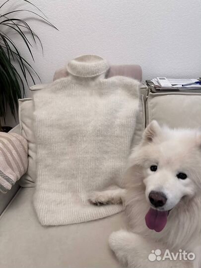 Жилет из собачьей шерсти