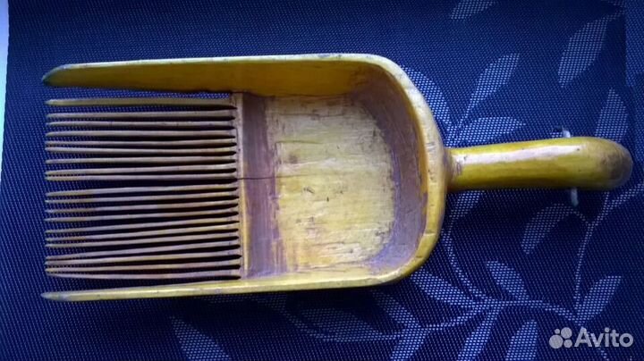 Плодосборник старинный