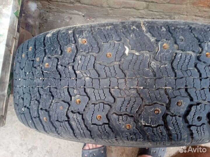 Gislaved Nord Frost II 195/65 R14