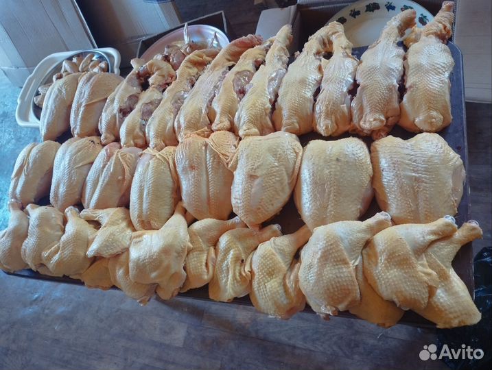 Куры бройлеры тушки