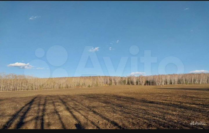 Участок 5,1 га (СНТ, ДНП)