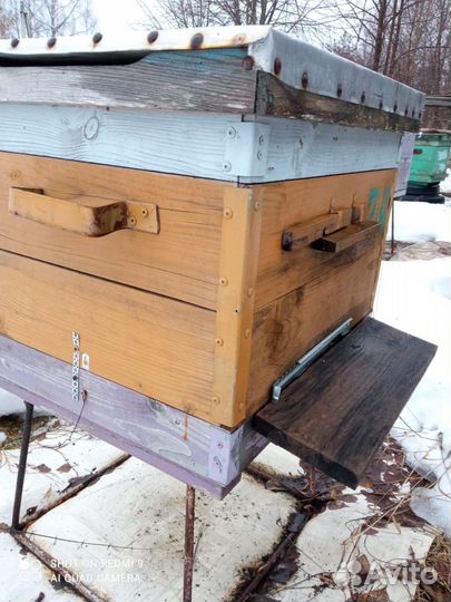 Улей для пчел бу