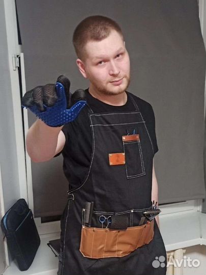 Груминг собак и кошек/передержка кошек,любой район