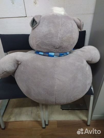 Бегемоты, очень большой и средний