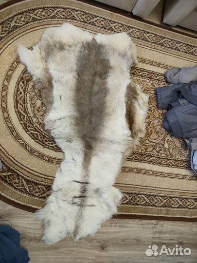 Оленья шкура
