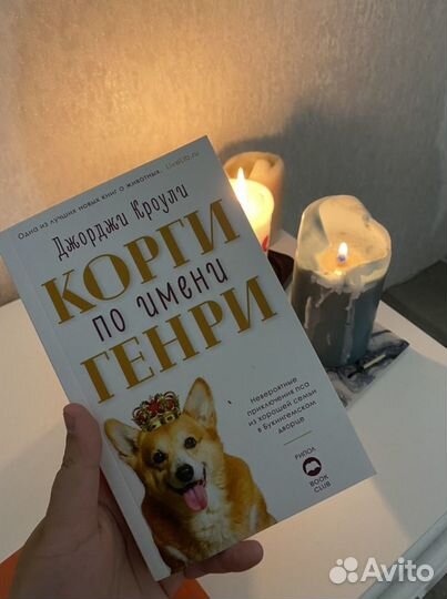 Корги по имени Генри
